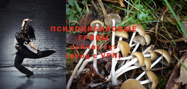 спиды Беломорск