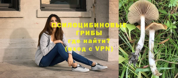 каннабис Белокуриха