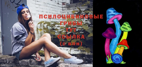 бошки Баксан