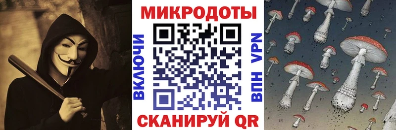 Галлюциногенные грибы Psilocybe  где купить наркоту  мега онион  Ялта 